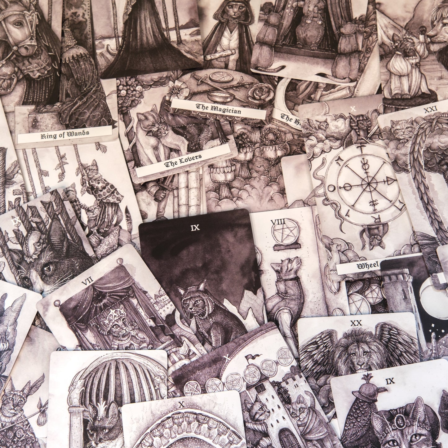Faeles Arcanae | The Cat Tarot Deck